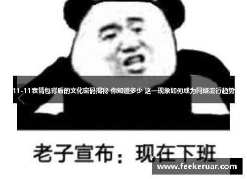 11-11表情包背后的文化密码揭秘 你知道多少 这一现象如何成为网络流行趋势