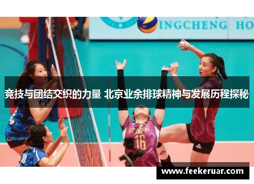 竞技与团结交织的力量 北京业余排球精神与发展历程探秘 竞技与团结交织的力量 北京业余排球精神与发展历程探秘