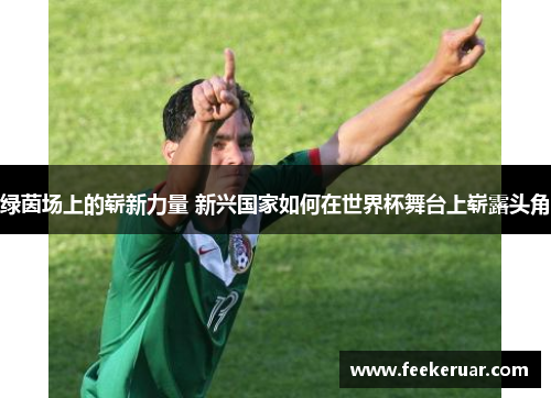 绿茵场上的崭新力量 新兴国家如何在世界杯舞台上崭露头角