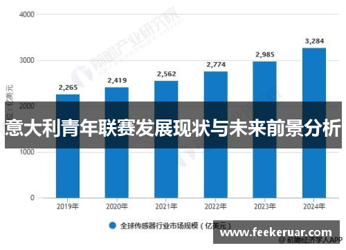 意大利青年联赛发展现状与未来前景分析
