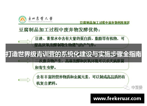 打造世界级青训营的系统化建设与实施步骤全指南